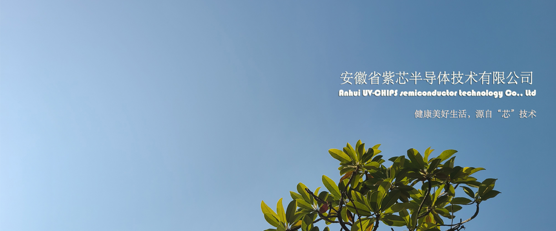 未标题-1 拷贝.jpg